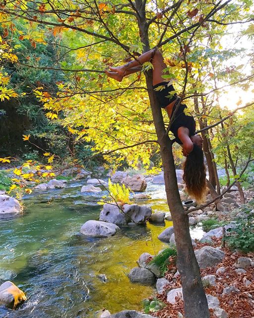 The  bat hanging upside down laughs at the topsy turvy  world 🌿  Lebanon... (Yahchouch)