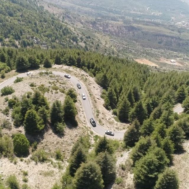 The beautiful Al Shouf Cedars  lebanon  shoufreserve  shouf  mountains ... (Al Shouf Cedar Nature Reserve)