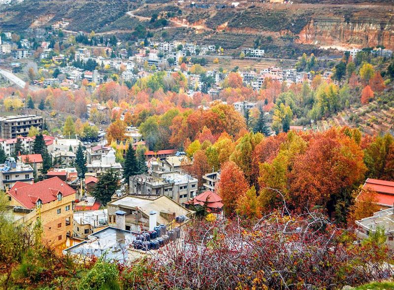 The beautiful colors of Autumn. Faraya, Lebanon.  livelovefaraya | Good... (Faraya, Mont-Liban, Lebanon)