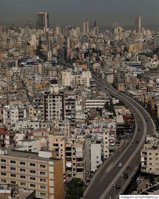 The beautiful jungle ... (Beirut, Lebanon)