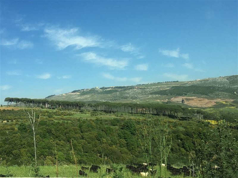 The beautiful  lebanon  khardali area  lebanesenature  lebanonnature ... (Khardali)