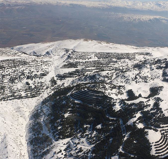 The Beautiful Shouf Reserve from the Sky - 8000feet ❄️🌲❄️🌲❄️🌲... (Arz el Bâroûk)