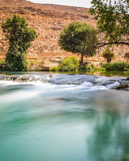 .The beautiful waters of Al-Assi River. A river that's never dries even... (Al Assi River-Hermel, Lebanon)