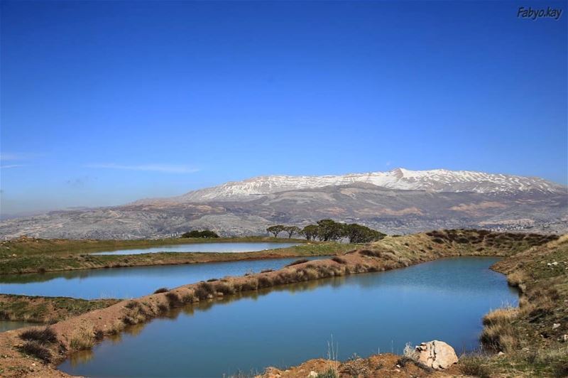 The beauty of nature... From  Falougha  Lebanon ... (Falougha, Mont-Liban, Lebanon)