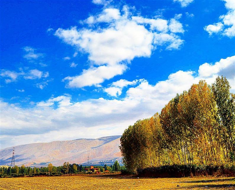 "The beauty of nature is everywhere" trees  mountains  sky  clouds ...