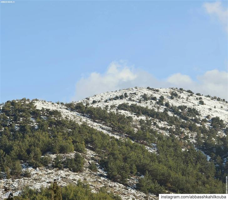 .• " The beauty of the mountain lies on its persistence to conquer the... (Jezzîne, Al Janub, Lebanon)