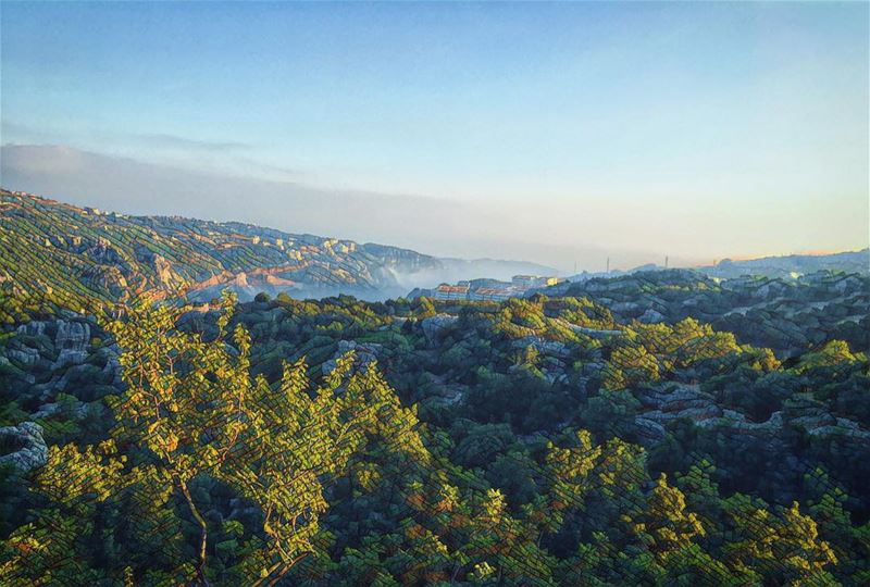 'the beauty of the natural world; lies in the details...''''... (Faïtroûn, Mont-Liban, Lebanon)