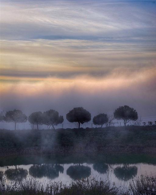 The beauty you see in me is a reflection of you - Rumi ... (Annâya, Mont-Liban, Lebanon)