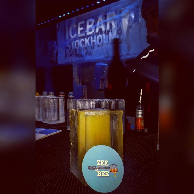 The Bee 🐝 and her ice ❄️ drink...... ice  zeethebee  zeetravels ... (Ice Bar Stockholm)