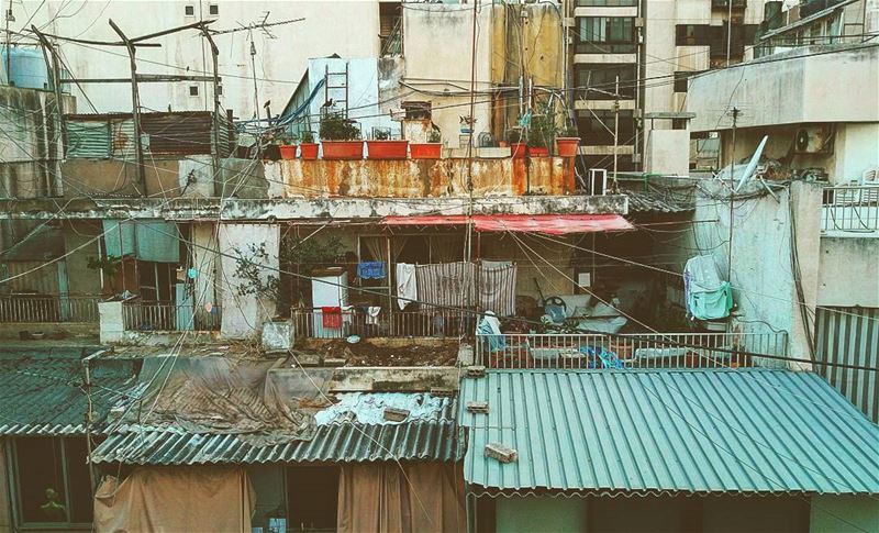 The... (Beirut, Lebanon)