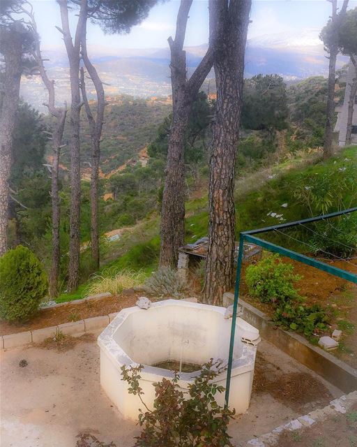 The berkeh, sort of a basin with a fountain in the middle. Old Lebanese... (Dhour choueir)