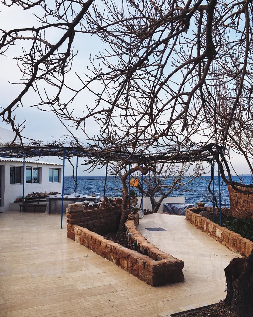 The best backyard ever 🌊🏡 Мечта! иметь такой задний двор 😍  sea  view ... (Tyre, Lebanon)