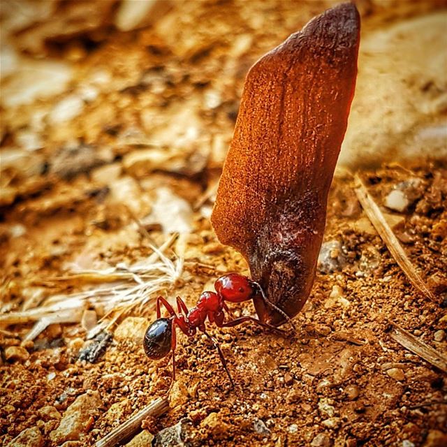 The best inspiration to start a crucial week !! nature fromwhereistand...