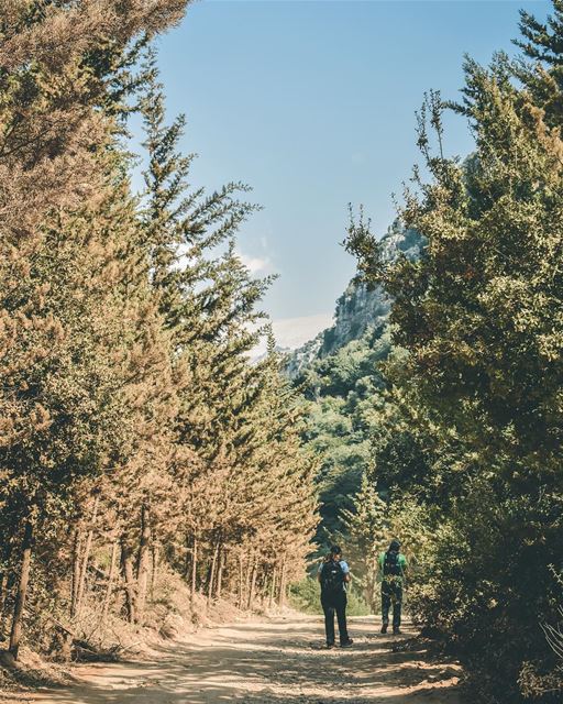 The best part of any hike, first eyes on the destination 👀 ......... (Wadi Qadischa)