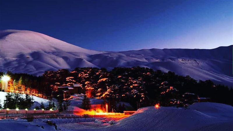 The best picture of the century to me  cedars lebanon nature ski snow...
