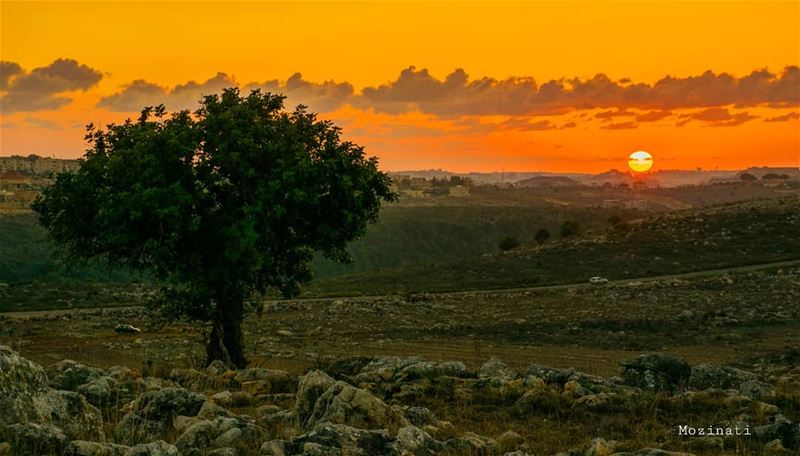 The best things in life are the people you love, the places you have seen... (Rumin, Al Janub, Lebanon)