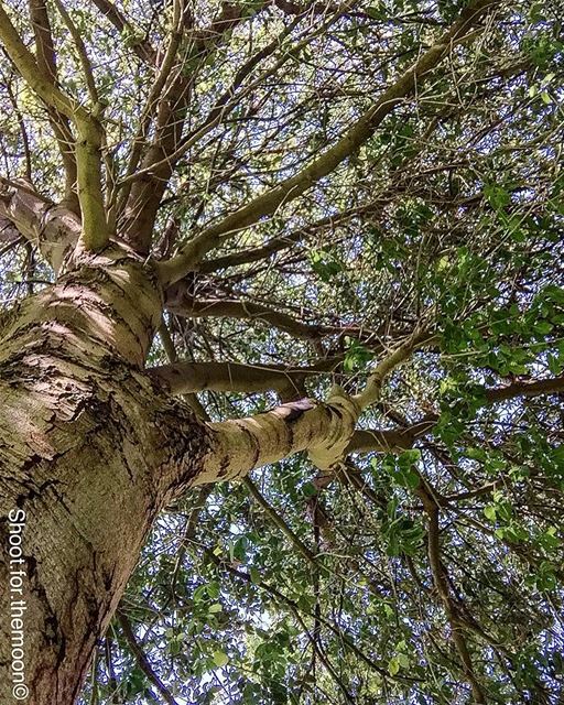 "The best time to plant a tree was 20 years ago. The second best time is...