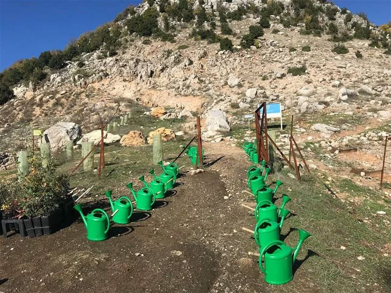 The best time to  plant  trees was twenty years ago.The second best time...