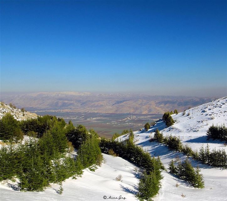 "The Best View comes after the Hardest Climb" 💚 snowshoeing  barouk ... (Al Shouf Cedar Nature Reserve)