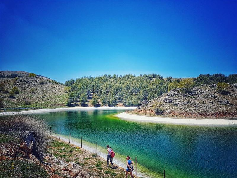 The best  views come after a the hardest  climb 🏞 مشوار_مع_مغوار 🇱🇧... (Al Shouf Cedar Nature Reserve)