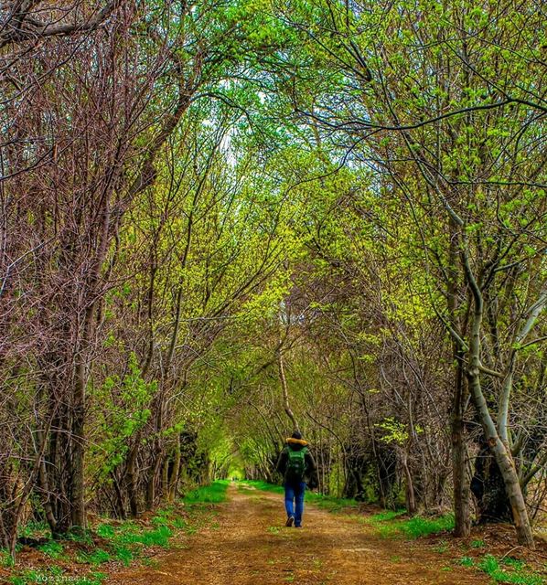 The biggest Adventure U can Ever Take is to Live the Life of Your Dreams..... (`Ammiq, Béqaa, Lebanon)