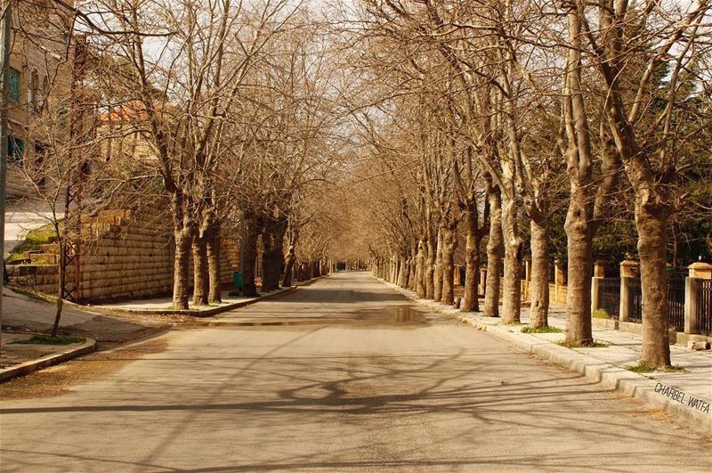 The biggest adventure you can take is to live the life of your dreams 😁 ... (Sawfar, Mont-Liban, Lebanon)