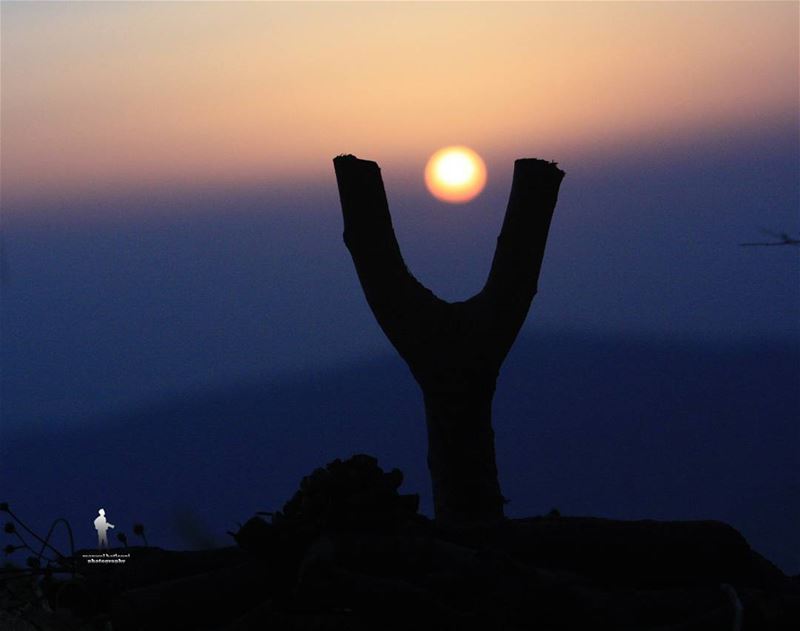 The biggest clichi in photography is sunrise and sunset-Catherine opie ...