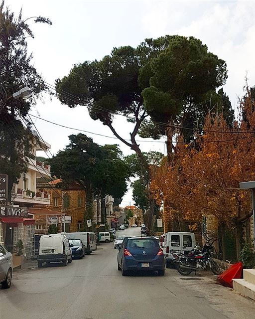 ... The blend of bricks and trees... 🏠🌳------.. Lebanon_HDR  Ливан  Б (Broummâna, Mont-Liban, Lebanon)