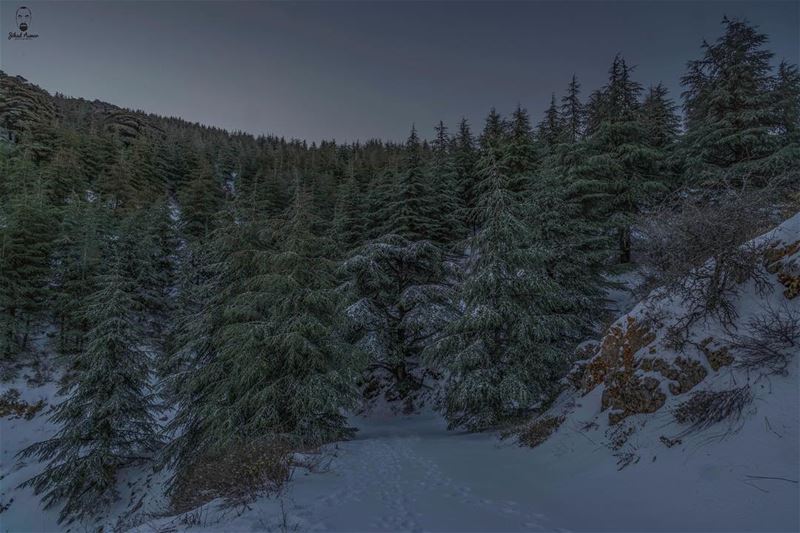 The Blue HOUR!!!!... (Aïn Zhalta, Mont-Liban, Lebanon)