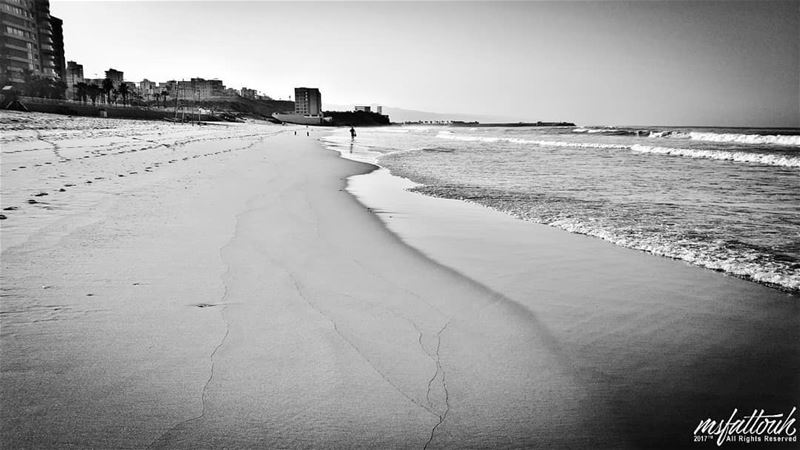 "The breaking of a wave cannot explain the whole sea." - Vladimir Nabokov...