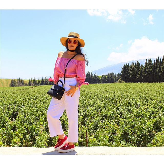 The carpet of happiness ☘️🍷 ChateauKefraya Vineyards Bekaavalley... (Château Kefraya)