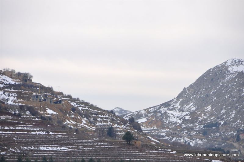 The Cedar Reserve (Arz Tannourine)