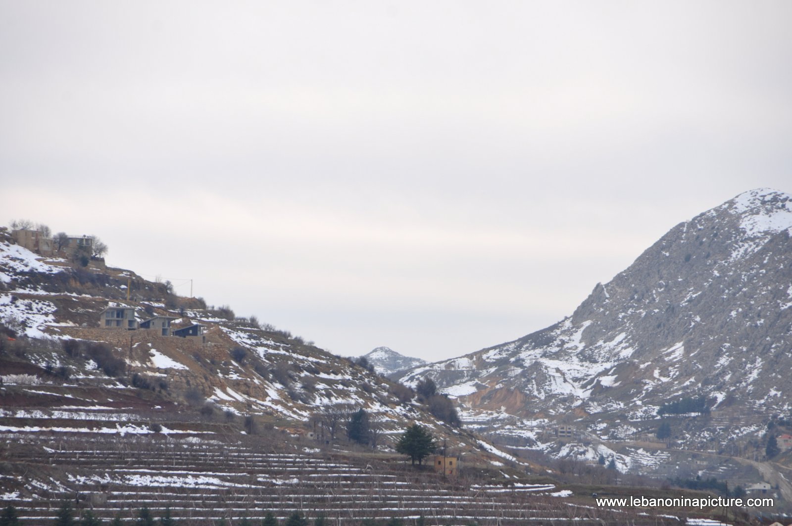 The Cedar Reserve (Arz Tannourine)