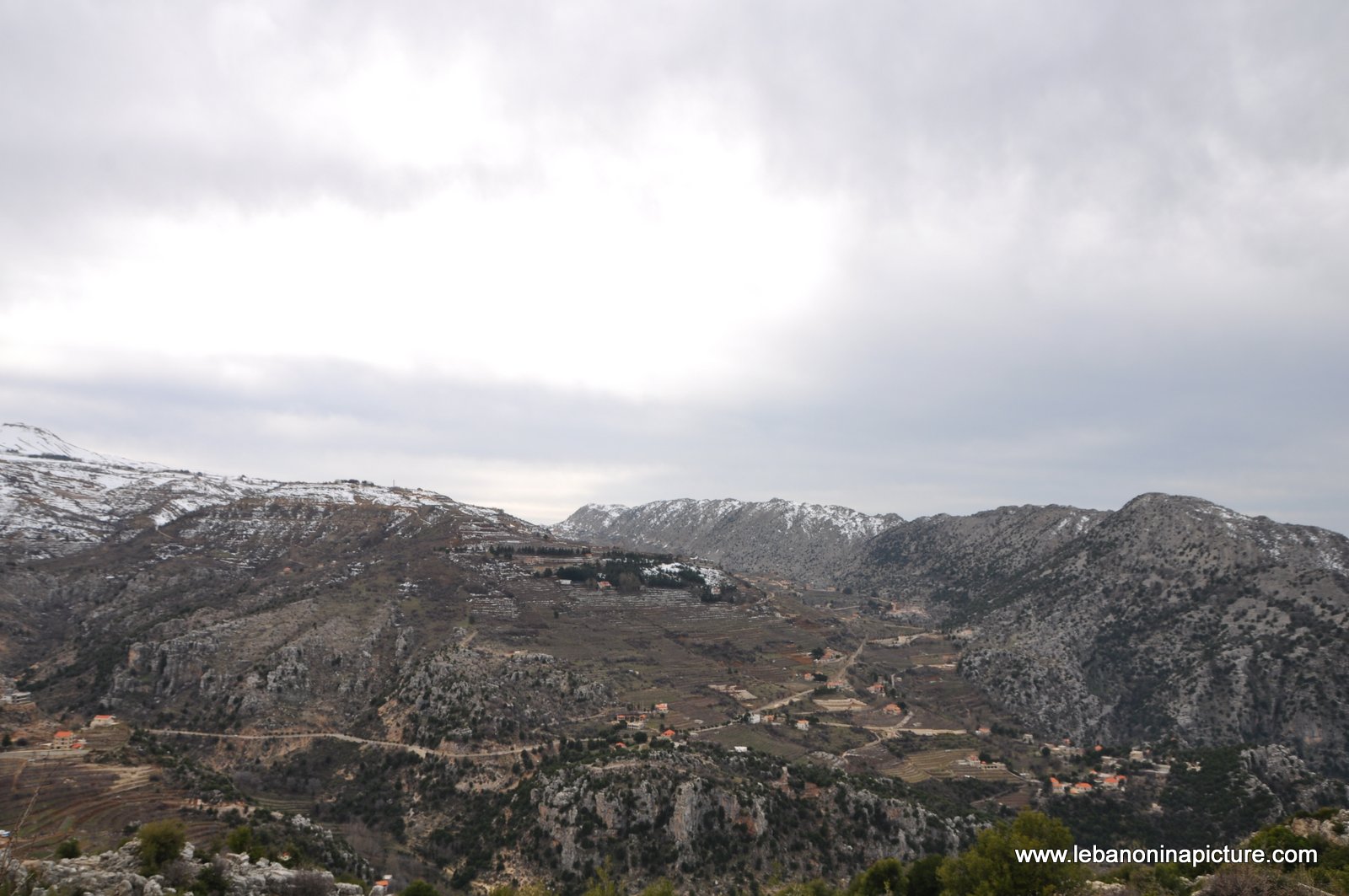 The Cedar Reserve (Arz Tannourine)