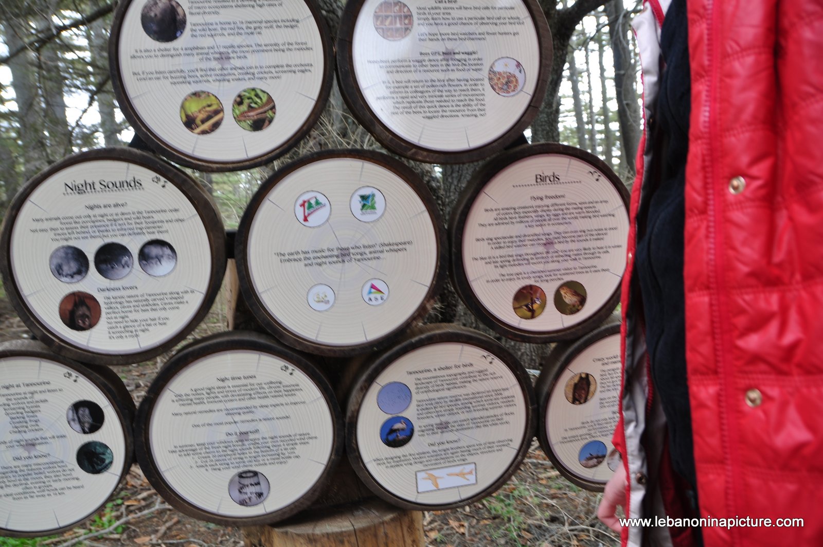 The Cedar Reserve (Arz Tannourine)
