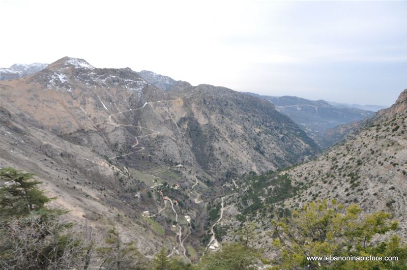 The Cedar Reserve (Arz Tannourine)