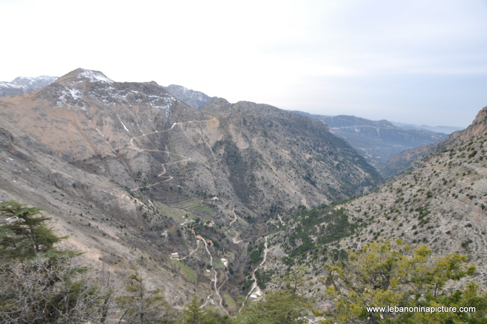 The Cedar Reserve (Arz Tannourine)