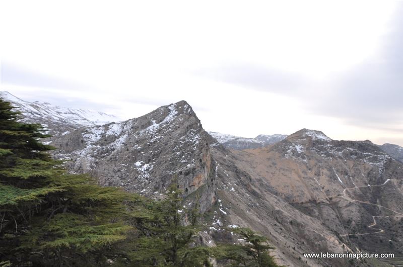 The Cedar Reserve (Arz Tannourine)