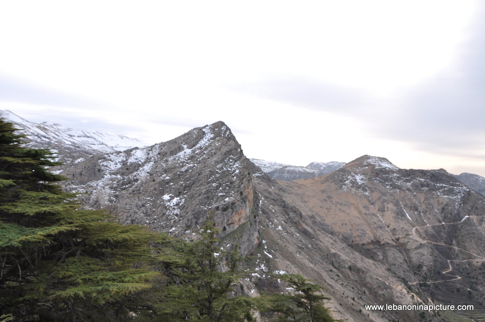 The Cedar Reserve (Arz Tannourine)