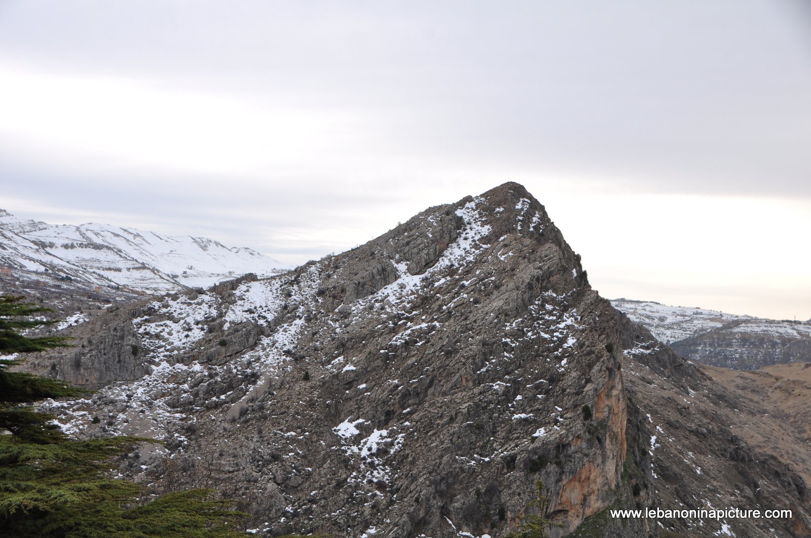 The Cedar Reserve (Arz Tannourine)