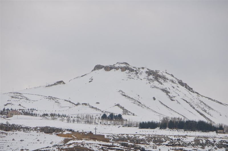 The Cedar Reserve (Arz Tannourine)