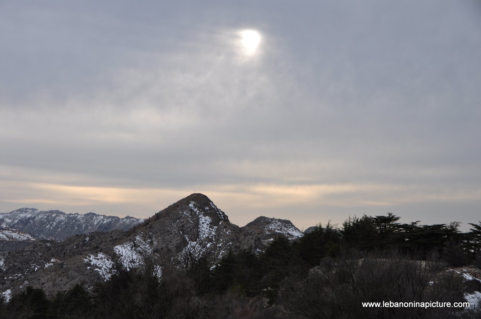 The Cedar Reserve (Arz Tannourine)