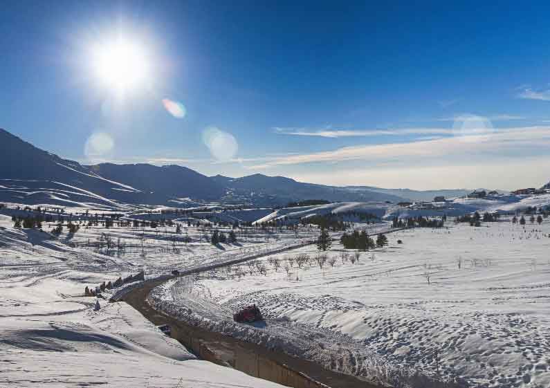 The Cedars Near Ski Slops Panoramic 180 View
