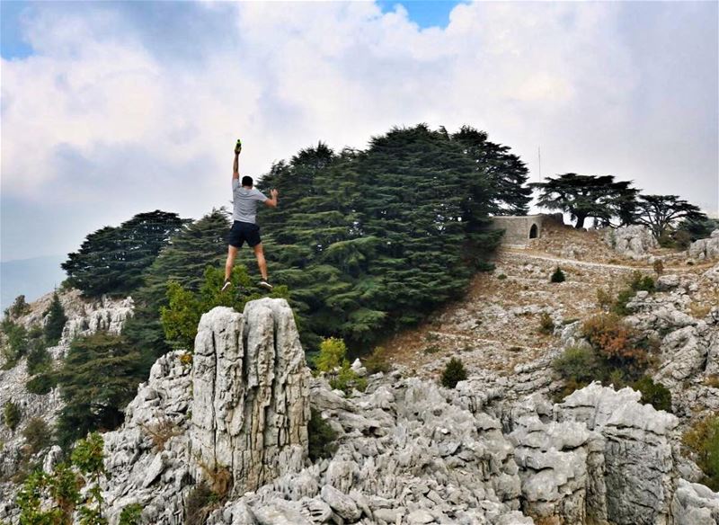 The Cedars of Jaj (Jurd Jbeil) are One of the Oldest Cedars in the World,... (Arez Jaj)