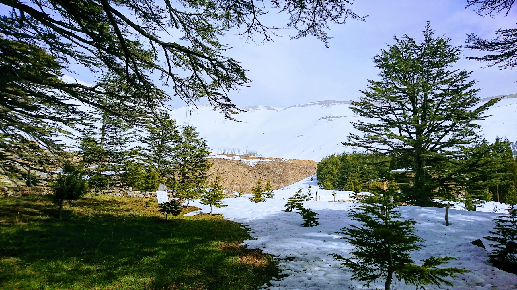 The Cedars of Lebanon - Last days of snow (Cedars of God, North Lebanon)