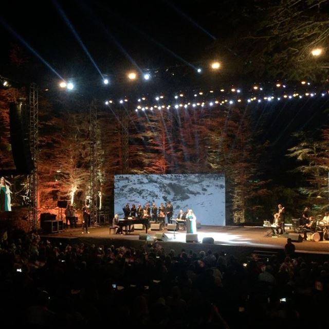 The cedars of TANNOURINE !!! tannourine  tannourinecedarsnights ... (Tannourine Cedars Nights ليالي أرز تنورين)