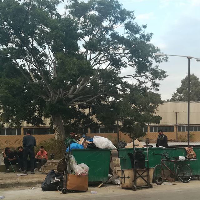 The champion pickers! Waste is a resource and while they are out of school... (Mar mikheal)