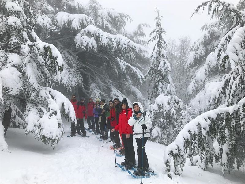 The Chronicles of Narnia 😍😍 (Arz el Bâroûk)