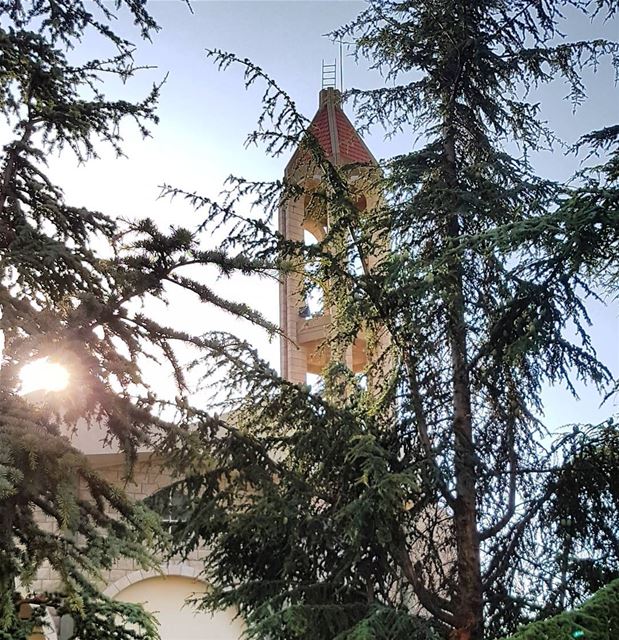 The Church of Saint Charbel in Lebanon.  latergram  trees  saintcharbel ... (Mazar Saint Charbel-Annaya)