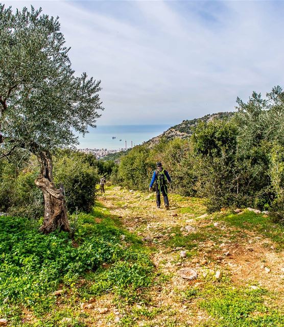 The city near the sea  travelbloggers  discoverearth  livelovebeirut ... (Keserwan District)